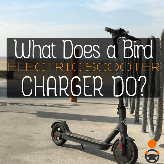 Bird Charger