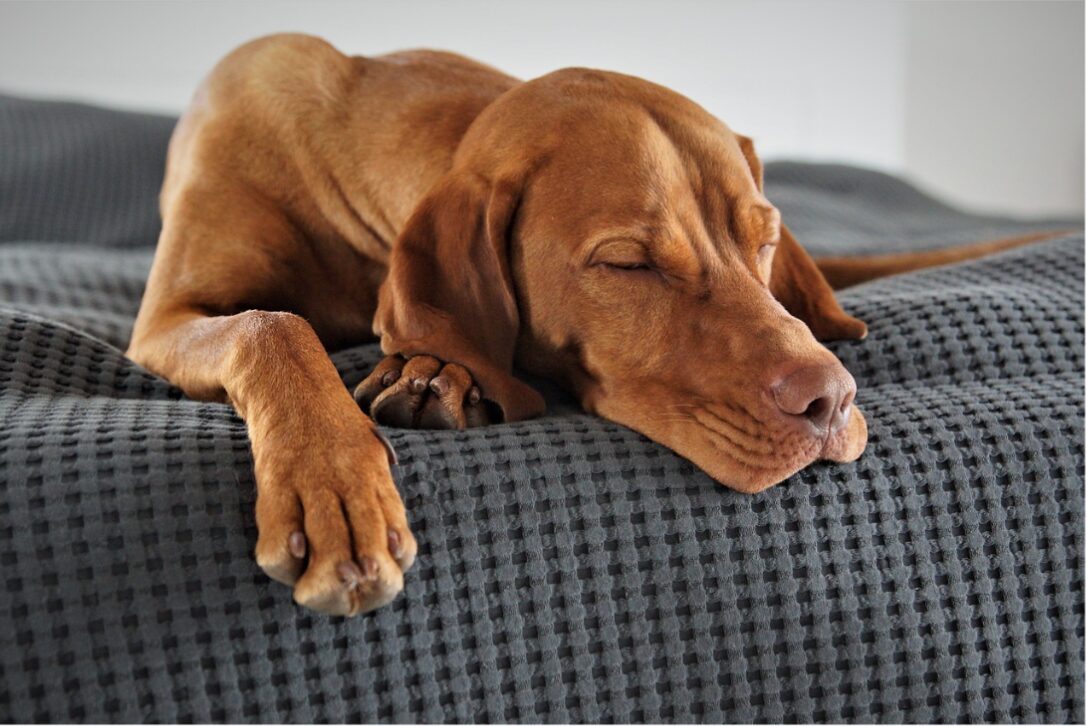 A Good Night’s Sleep is My Biggest Determinant