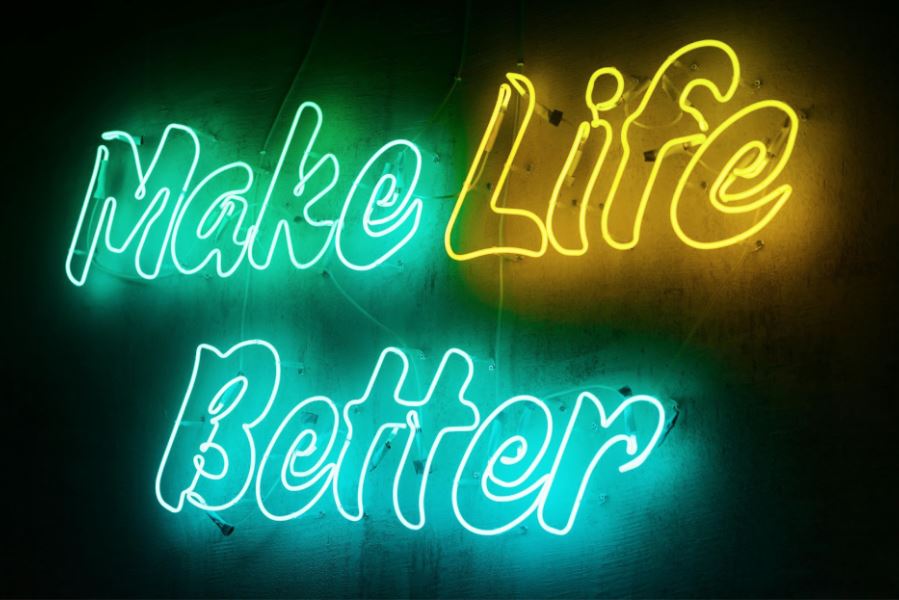 Can I Create a Hybrid Life