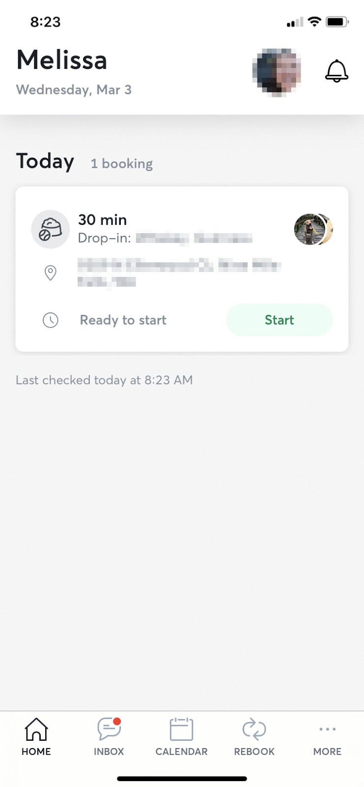 rover review