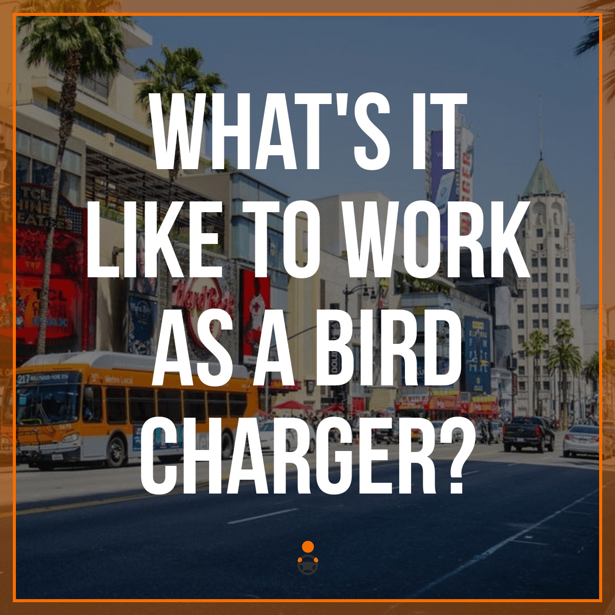 Bird Charger