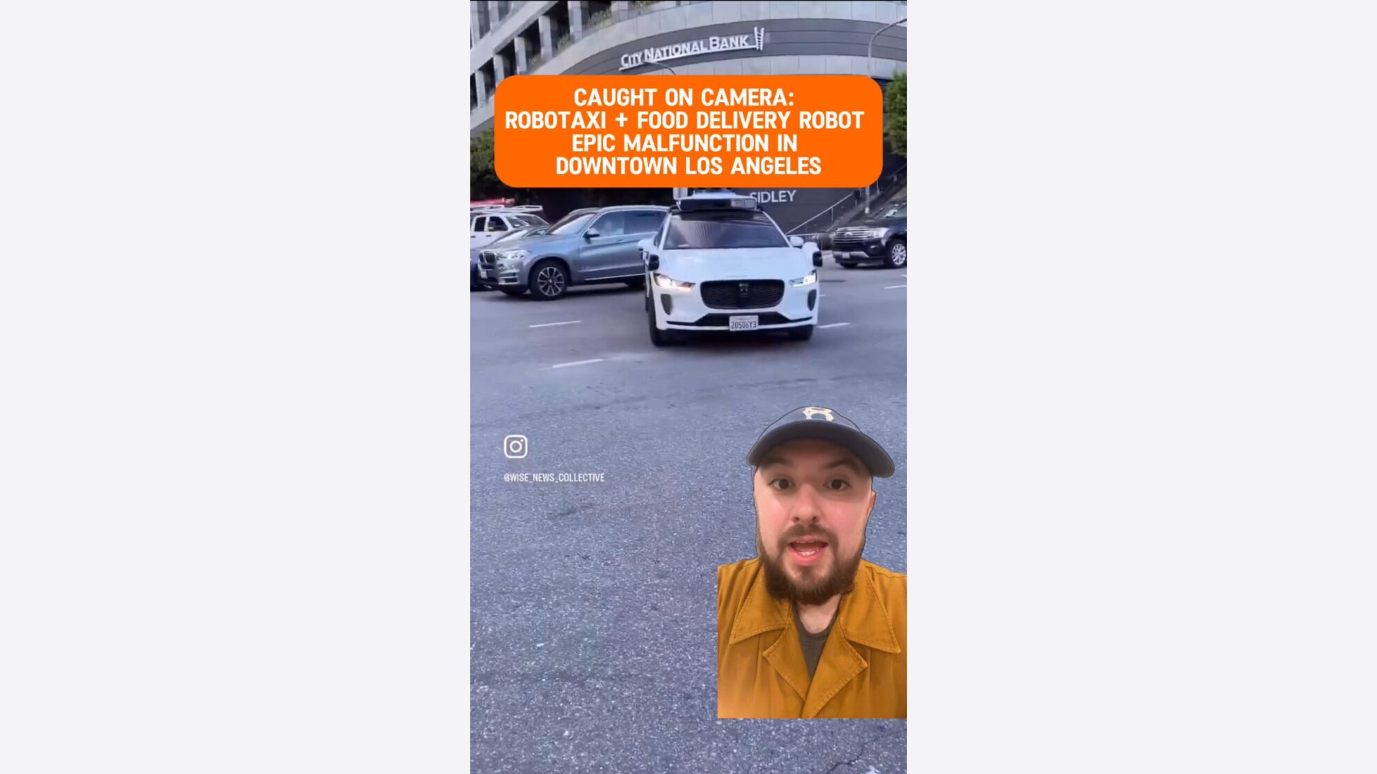 Robotaxi Malfunction