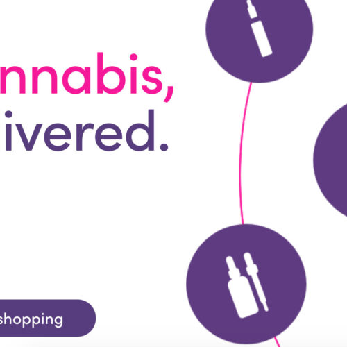 amuse cannabis delivery