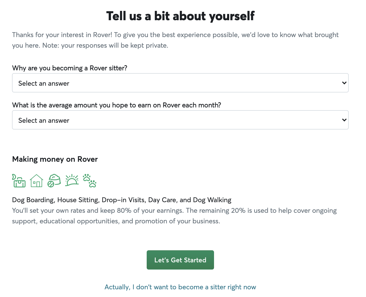 rover review