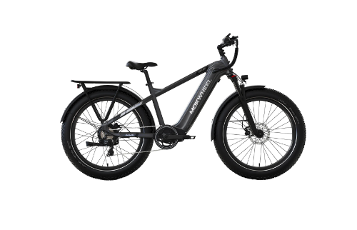 Mokwheel Basalt eBike review example