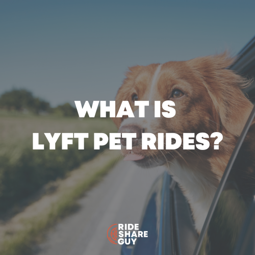 What Is Lyft Pet Rides?